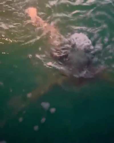 In the ocean, IG Post, April 2023