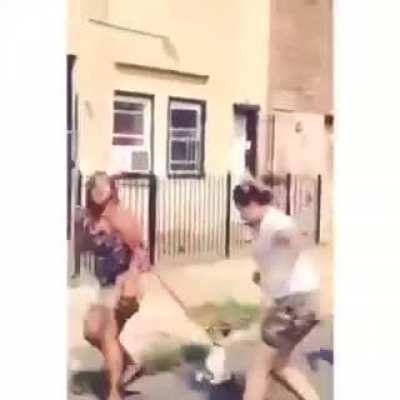Woman uses dog as a whip