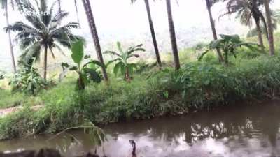 When you are playing guitar in the jungle and a string breaks