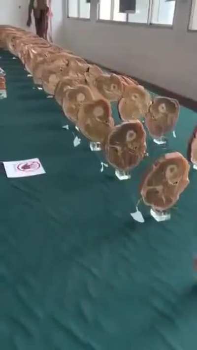 Steak, anyone?
