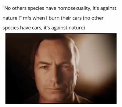 "Homosexuality is against nature" then almost everything we have is against nature