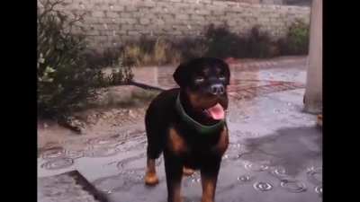 niga