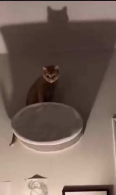 Blursed batman