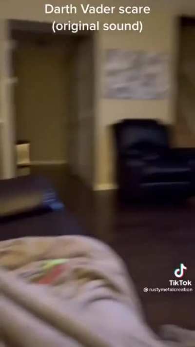 Dog was influenced by the wrong reputation...