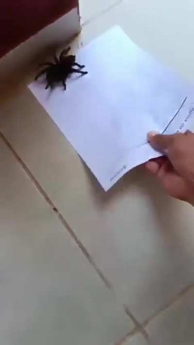 Maybe maybe maybe