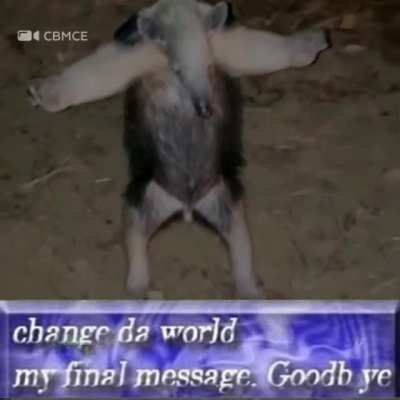 change da world