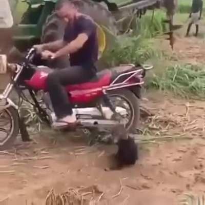 I want a ride