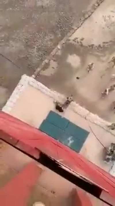 He was trying for a super hero landing.