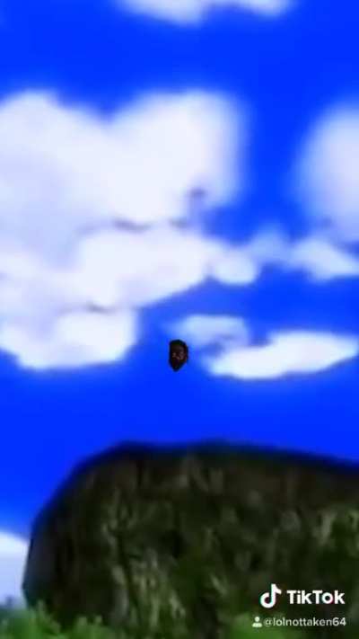 Nice Shot!