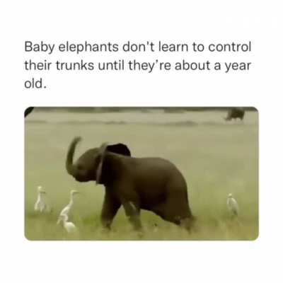 Just so you know&hellip;