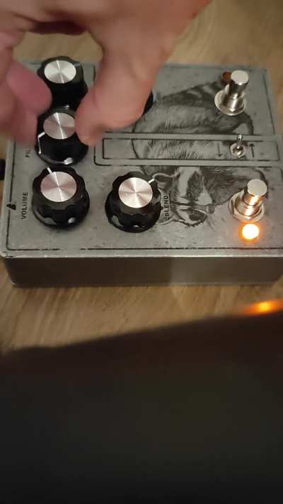 RATACOON SAMPLES