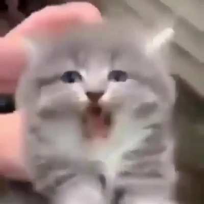 brrrrrrrrrrrrr