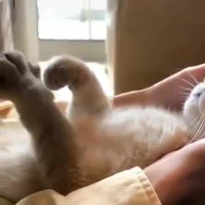 air biscuits