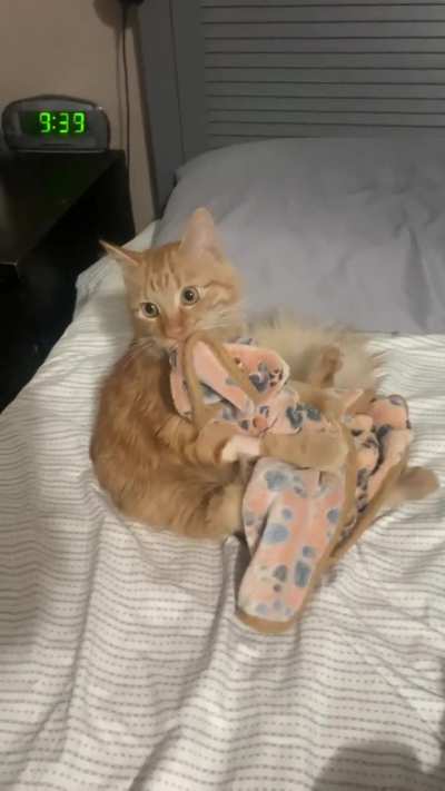 After the vet visit
