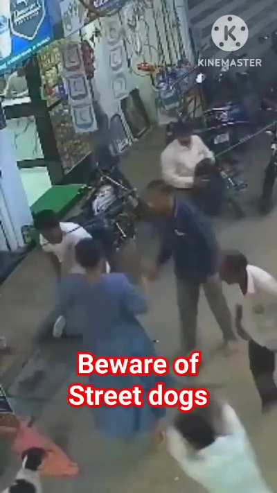 Dog vs Brave woman