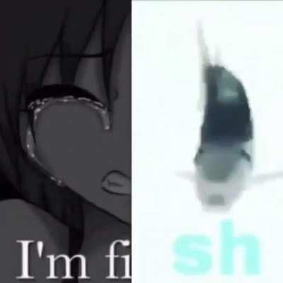 🐟