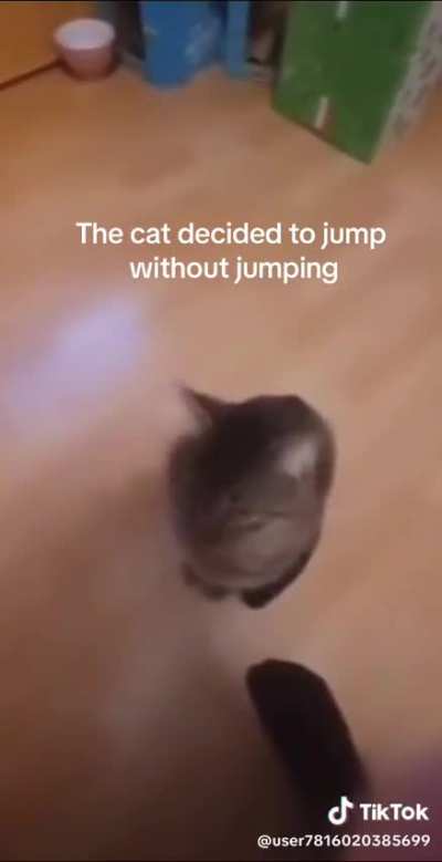 Wtf 