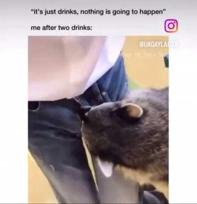 Gay🦝irl