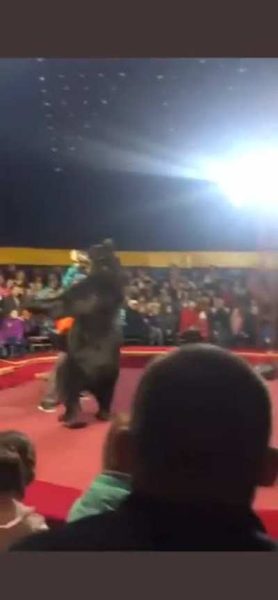 Circus not as fun