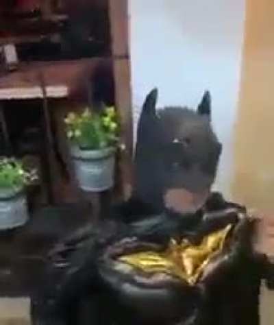 Eeeeeh??