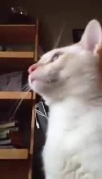 U&eacute;
