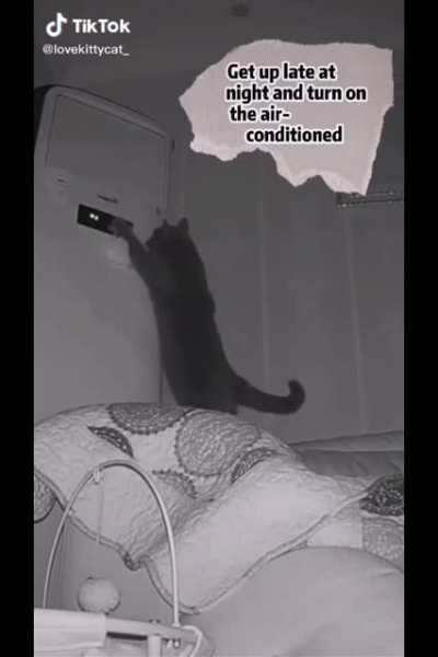 Fine I'll do it myself