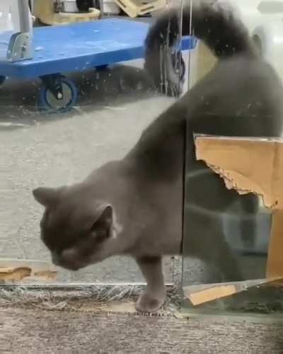 Almost scared me