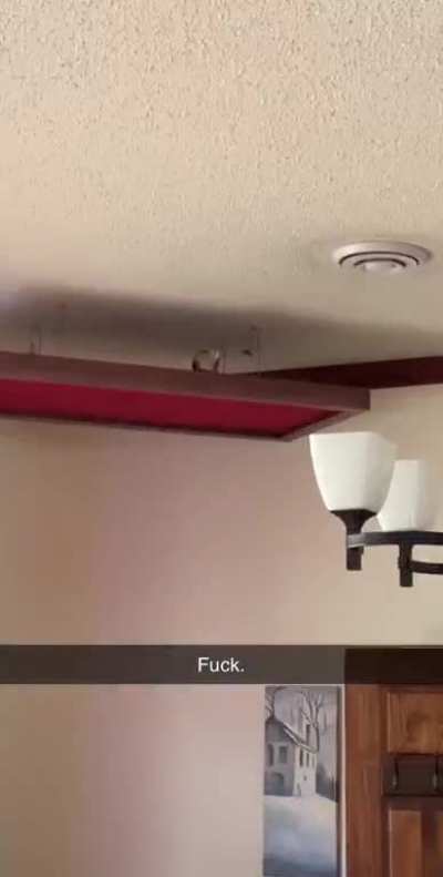 Government drone checking restaurants for re-open guideline violations