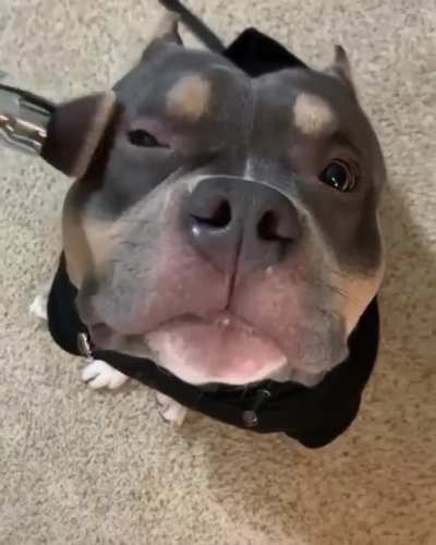 awww