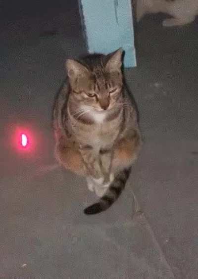 Title