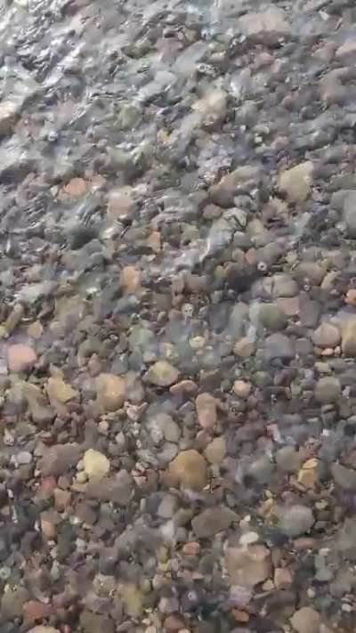 Tidal stream.