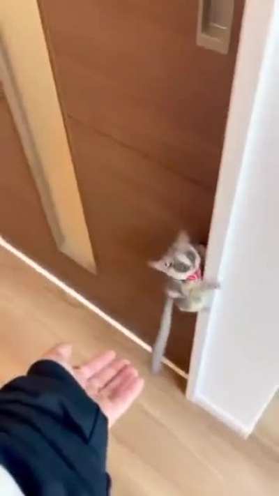 Blursed_Love these little guys