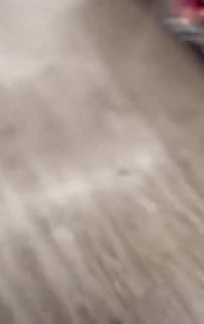 New TikTok trend