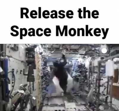 The Final Frontier