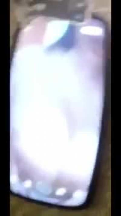 Pisceuss