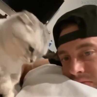 Cat licks