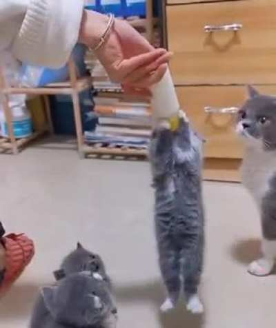 Getting his calcium!