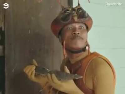 Termite commercial perfectly
