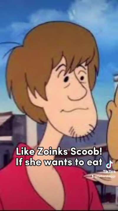 @FatherShaggy on tiktok