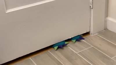 Got my husband monster slippers for Christmas, this is how he says hi when I&rsquo;m pooping 😂😂😂