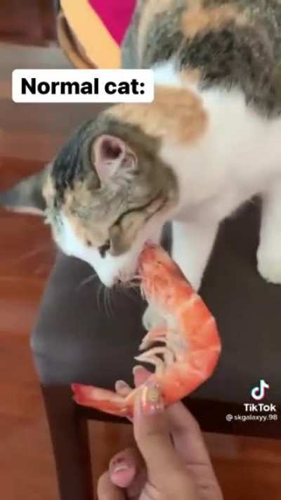 All kitties love fish