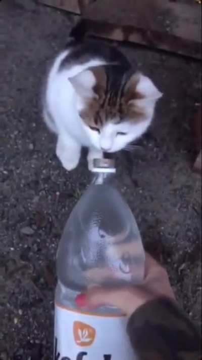 water bottle