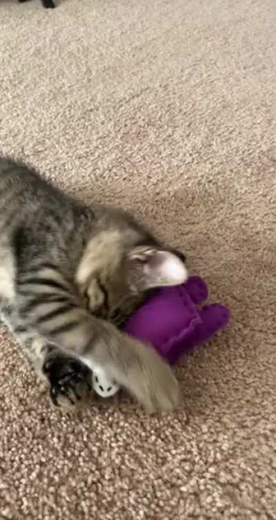 I watched brown kill purple!! (In other words I made my cat an among us toy and I&rsquo;m having way too much fun)