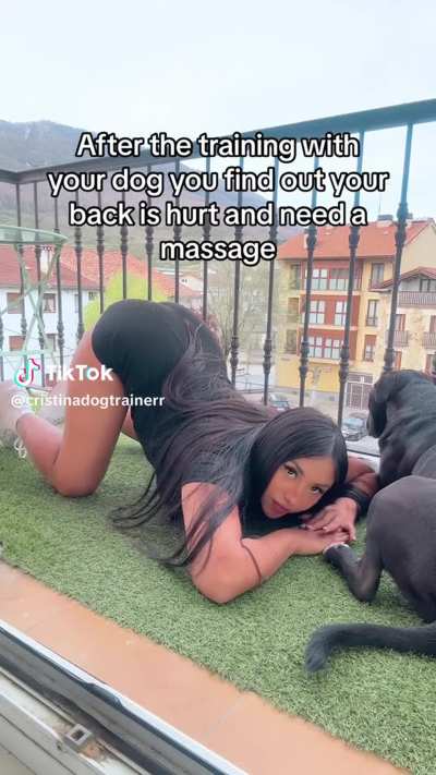 @krisdogtrainer