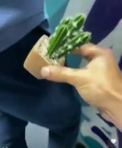 cursed_prank