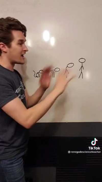 Evolution diagram