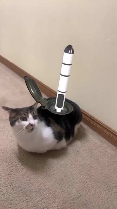 New WMD has been deployed