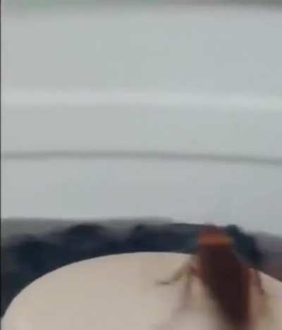 He do be vibin tho