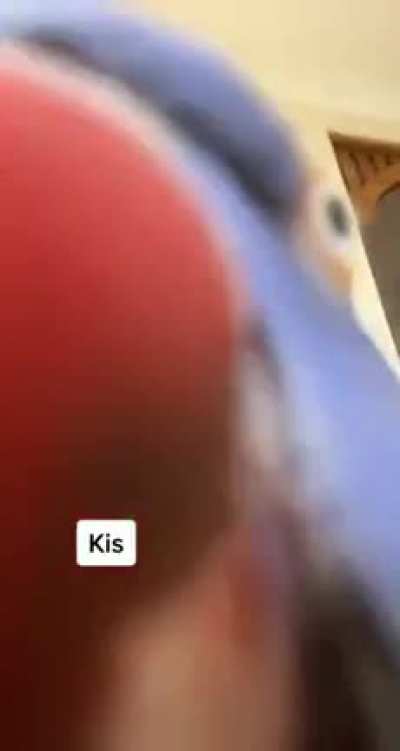 "It started out with a kiss, how did it end up like this..."