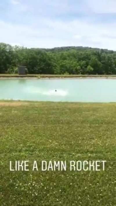 Pupper wastes no time getting in the lake